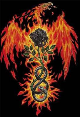 DrAgOn--RoSe